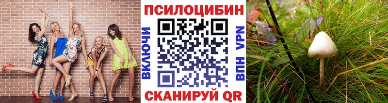 Галлюциногенные грибы прущие грибы  Купить  Уфа 